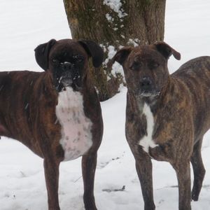 Meet your Posher, Christy